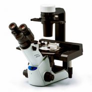 میکروسکوپ بیولوژی اینورت مدل CKX53 Olympus