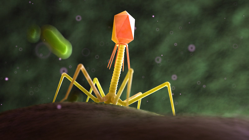 کشف 140 هزار گونه ویروس در روده انسان