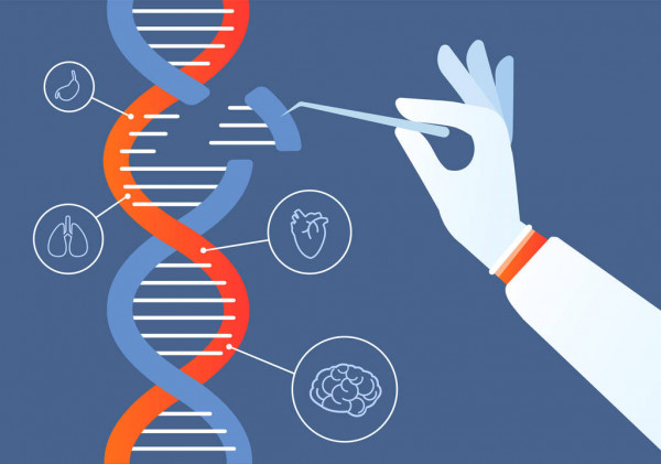 توسعه ژن درمانی بکمک ‘Mini’ CRISPR