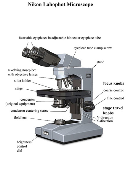 سرویس و نگهداری میکروسکوپ